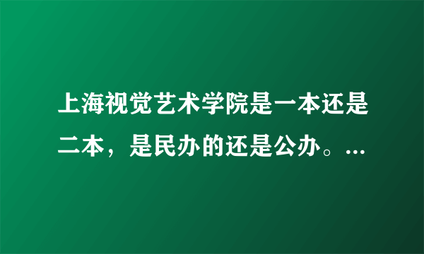 上海视觉艺术学院是一本还是二本，是民办的还是公办。其性质与上海其他哪些艺术类大学一样。