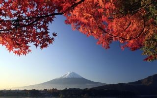 日本旅游购物攻略