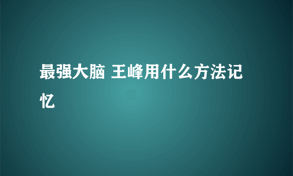 最强大脑 王峰用什么方法记忆