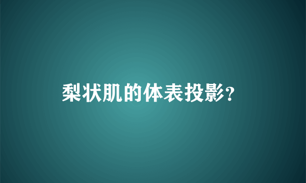 梨状肌的体表投影？