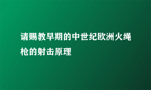 请赐教早期的中世纪欧洲火绳枪的射击原理