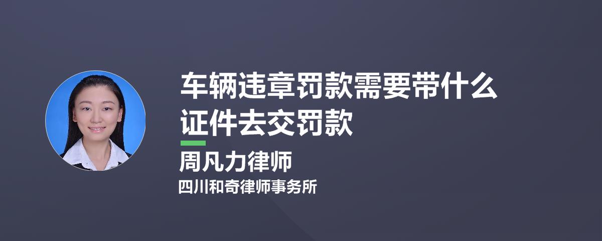 处理违章需要车主什么证件