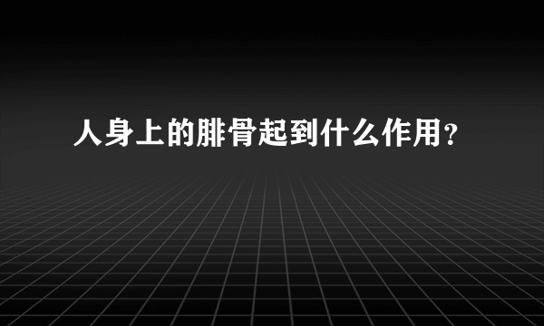 人身上的腓骨起到什么作用？