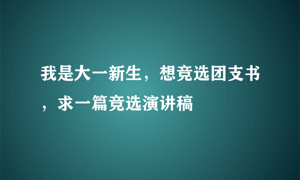 我是大一新生，想竞选团支书，求一篇竞选演讲稿