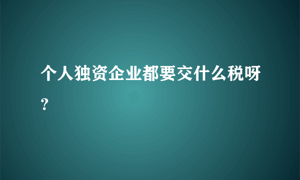 个人独资企业都要交什么税呀？