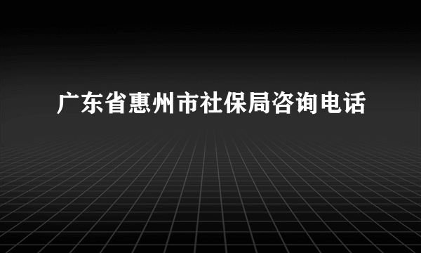 广东省惠州市社保局咨询电话