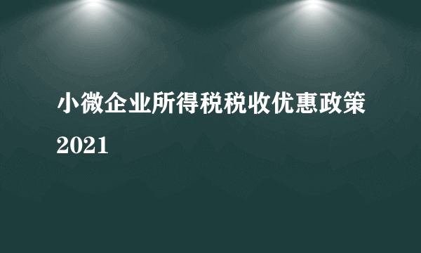 小微企业所得税税收优惠政策2021