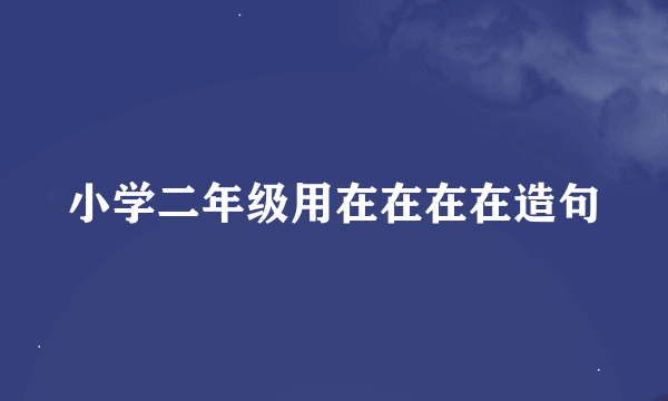 小学二年级用在在在在造句