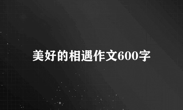 美好的相遇作文600字