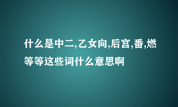 什么是中二,乙女向,后宫,番,燃等等这些词什么意思啊