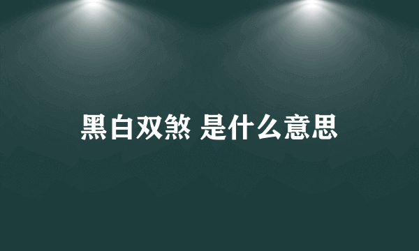 黑白双煞 是什么意思