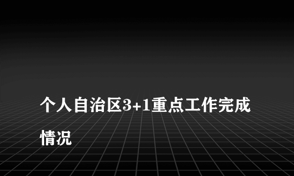 
个人自治区3+1重点工作完成情况

