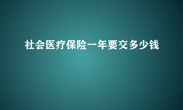 社会医疗保险一年要交多少钱