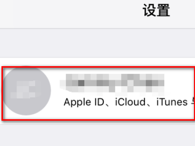 需要提供 Apple ID 验证码才能登录。请键入您的密码，并随后键入显示在您其他设备上的验证码。