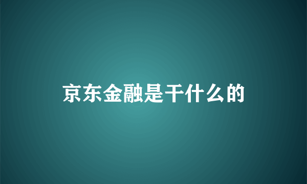 京东金融是干什么的