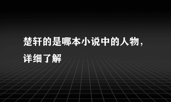 楚轩的是哪本小说中的人物，详细了解