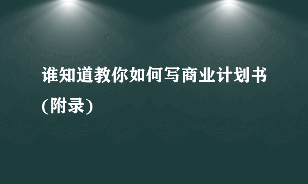 谁知道教你如何写商业计划书(附录)