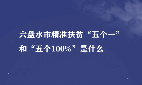 六盘水市精准扶贫“五个一”和“五个100%”是什么