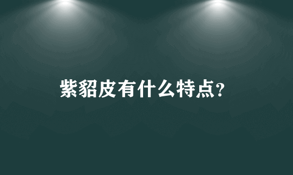 紫貂皮有什么特点？