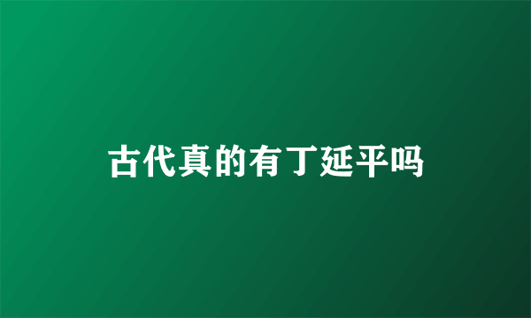 古代真的有丁延平吗