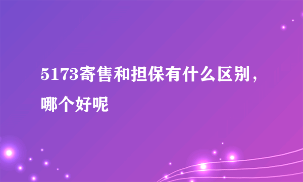 5173寄售和担保有什么区别，哪个好呢