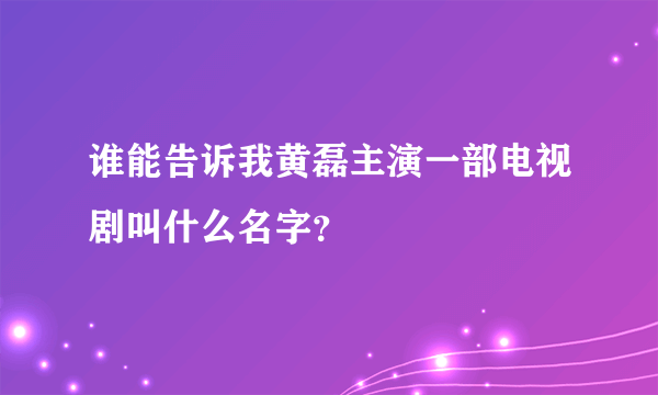 谁能告诉我黄磊主演一部电视剧叫什么名字？