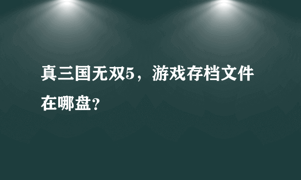 真三国无双5，游戏存档文件在哪盘？