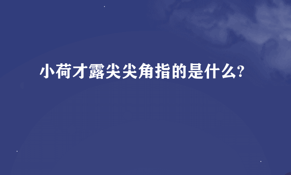 小荷才露尖尖角指的是什么?