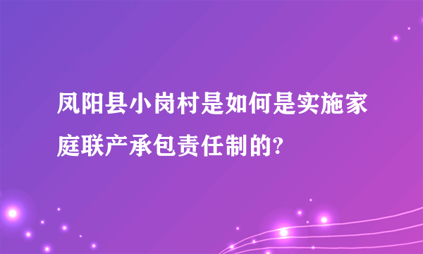 凤阳县小岗村是如何是实施家庭联产承包责任制的?