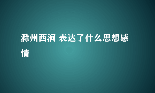 滁州西涧 表达了什么思想感情