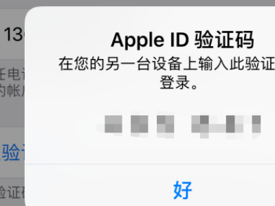 需要提供 Apple ID 验证码才能登录。请键入您的密码，并随后键入显示在您其他设备上的验证码。