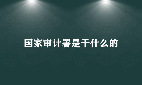 国家审计署是干什么的