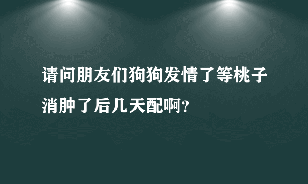 请问朋友们狗狗发情了等桃子消肿了后几天配啊？