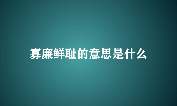 寡廉鲜耻的意思是什么