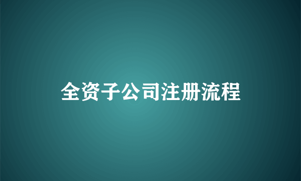 全资子公司注册流程