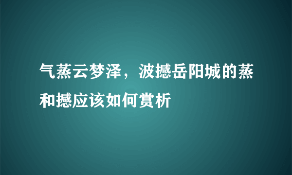 气蒸云梦泽，波撼岳阳城的蒸和撼应该如何赏析