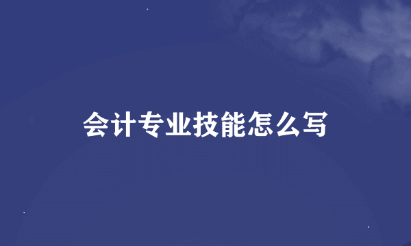 会计专业技能怎么写