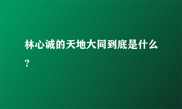 林心诚的天地大同到底是什么？