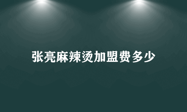 张亮麻辣烫加盟费多少