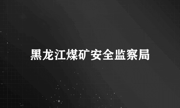 黑龙江煤矿安全监察局