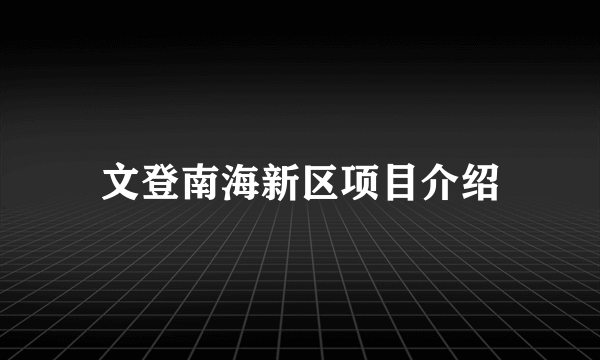 文登南海新区项目介绍