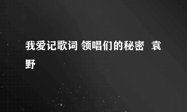 我爱记歌词 领唱们的秘密  袁野