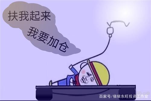 炒股中加仓和补仓的区别是什么？