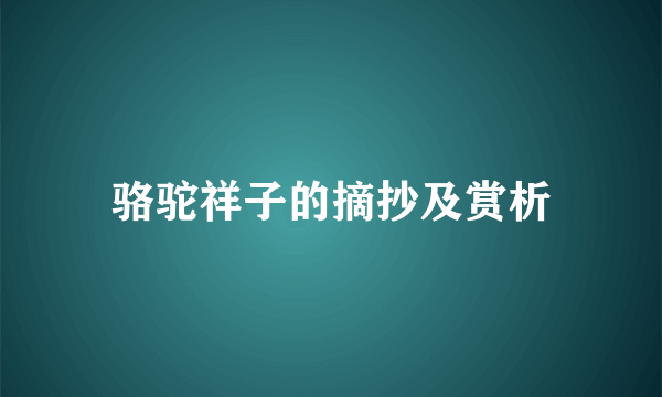 骆驼祥子的摘抄及赏析