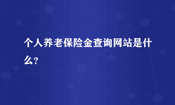 个人养老保险金查询网站是什么？