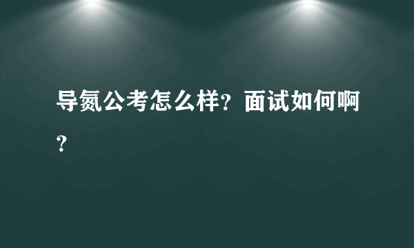 导氮公考怎么样？面试如何啊？