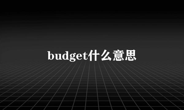 budget什么意思