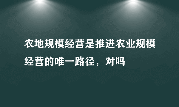 农地规模经营是推进农业规模经营的唯一路径，对吗