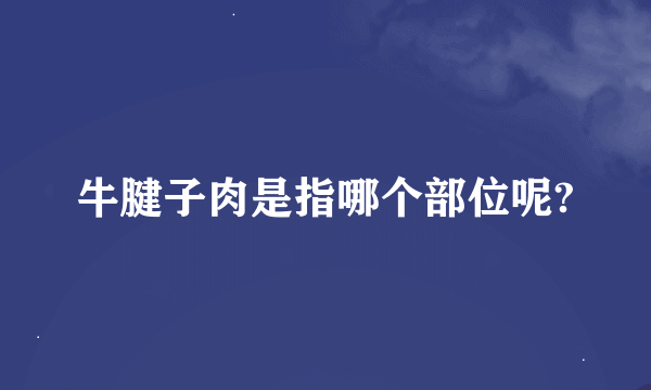 牛腱子肉是指哪个部位呢?