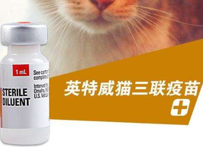 打一次猫三联需要多少钱？